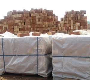 Butt Bricks